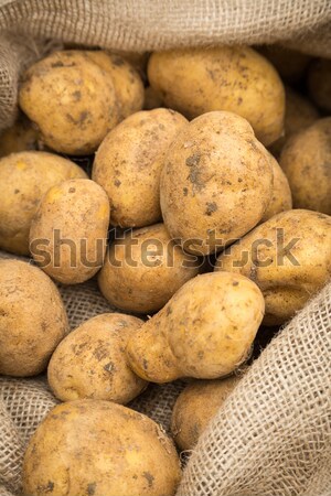 Brudne biały ziemniaki na zewnątrz torby papierowe worek Zdjęcia stock © keeweeboy