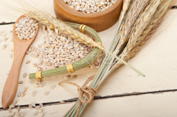 organic barley grains Stock photo © keko64