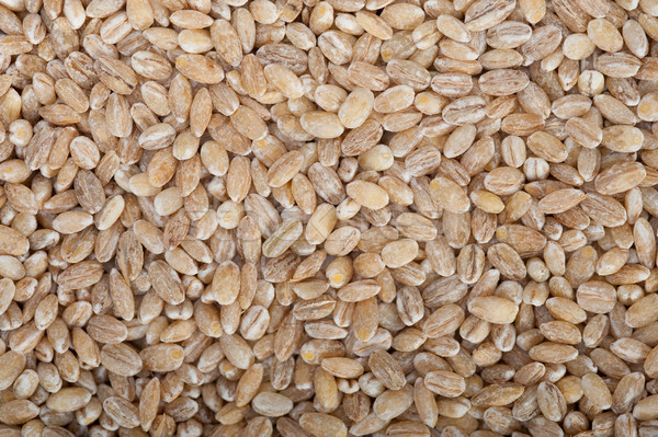 organic wheat grains  Stock photo © keko64