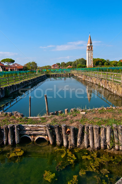 Venice Burano Mazorbo vineyard Stock photo © keko64