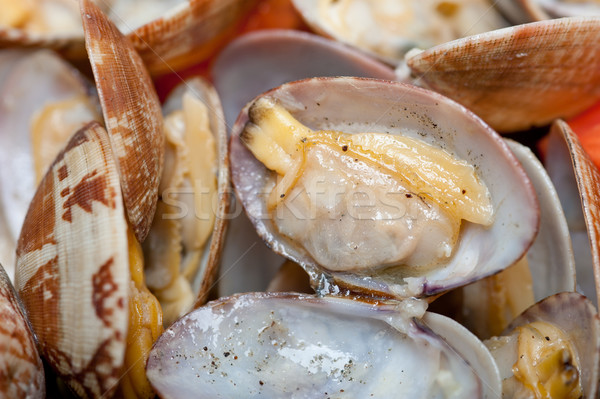 fresh clams on an iron skillet Stock photo © keko64