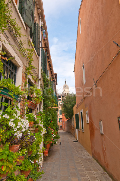 Foto d'archivio: Venezia · Italia · insolito · scenico · view