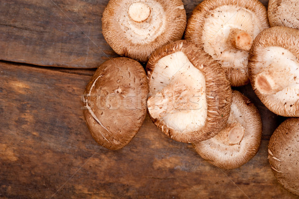 蘑菇 新鮮 鄉村 木 性質 商業照片 © keko64