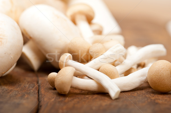 fresh wild mushrooms Stock photo © keko64