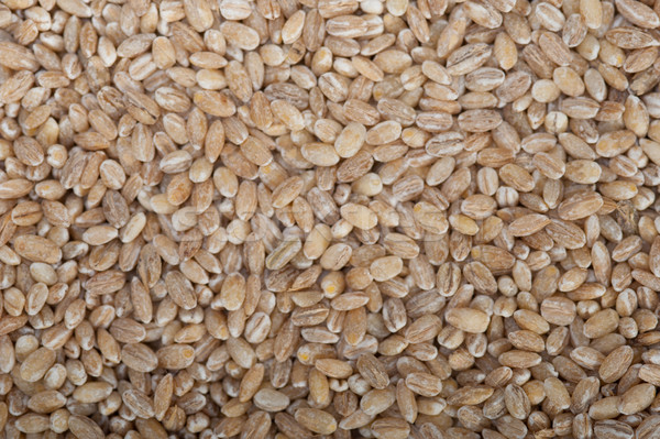 organic wheat grains  Stock photo © keko64