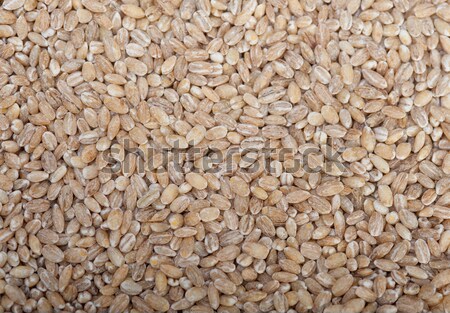 Orgánico granos de trigo rústico mesa de madera macro primer plano Foto stock © keko64