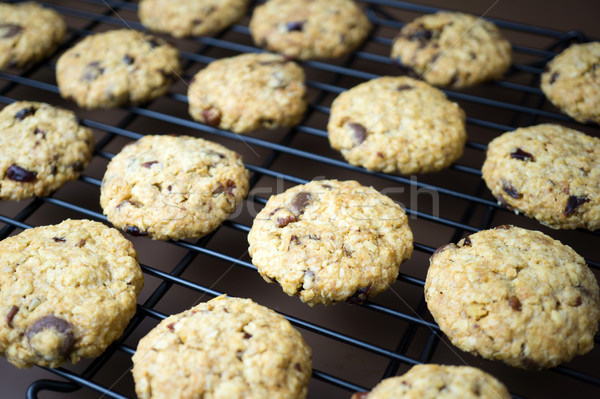 Homemade cranberry, nut and oat cookie Stock photo © kenishirotie