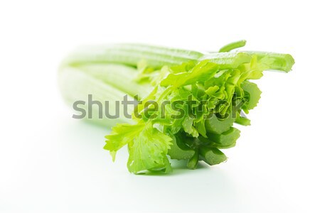 Celery Stock photo © kenishirotie