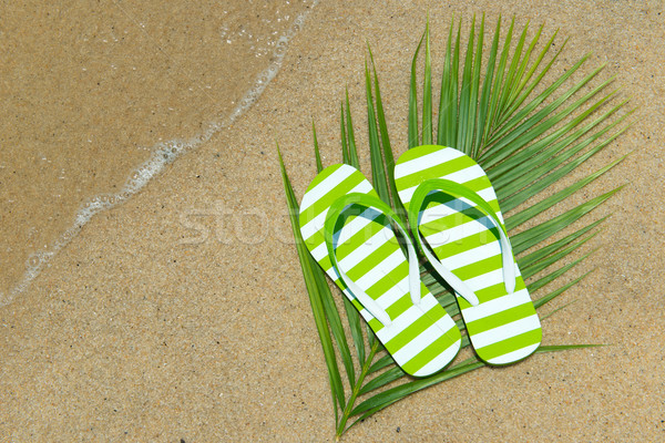 ストックフォト: 夏休み · ペア · 緑 · 縞模様の · ファッション · 海