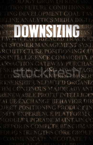 Downsizing Stock photo © kentoh