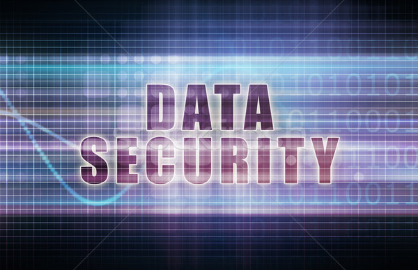 Data Security Stock photo © kentoh