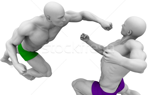 Martial Arts Training Stock photo © kentoh