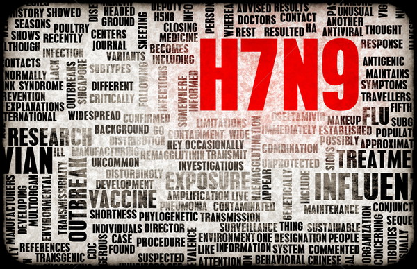 H7N9 Stock photo © kentoh