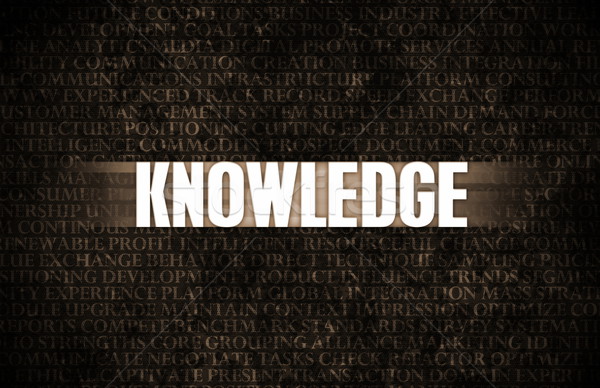 Knowledge Stock photo © kentoh