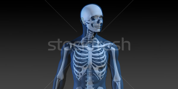 3d ember férfi test csontváz fut férfi Stock fotó © kentoh
