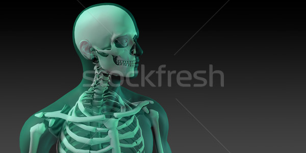 Medical Illustration of Human Body and Bones Stock photo © kentoh