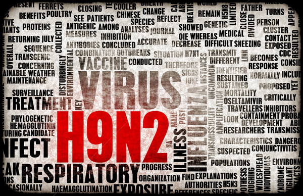 H9N2 Stock photo © kentoh