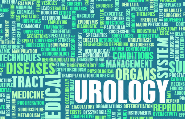 Urology Stock photo © kentoh