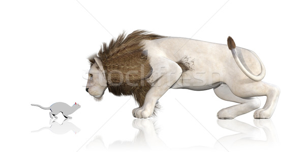 Cat Lion Reflection Stock photo © kentoh