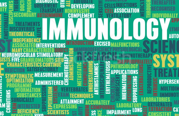 Immunology Stock photo © kentoh