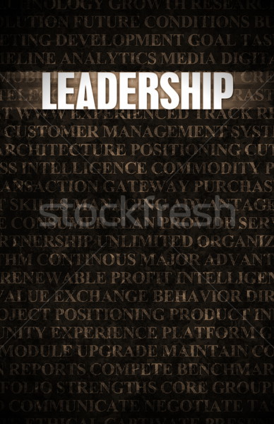 Leadership Stock photo © kentoh