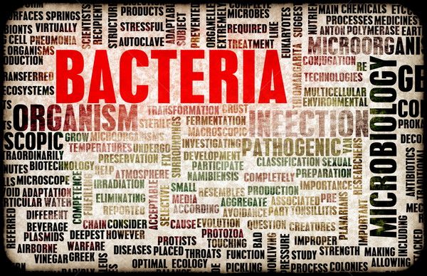 Bactérias higiene infecção médico limpeza vírus Foto stock © kentoh