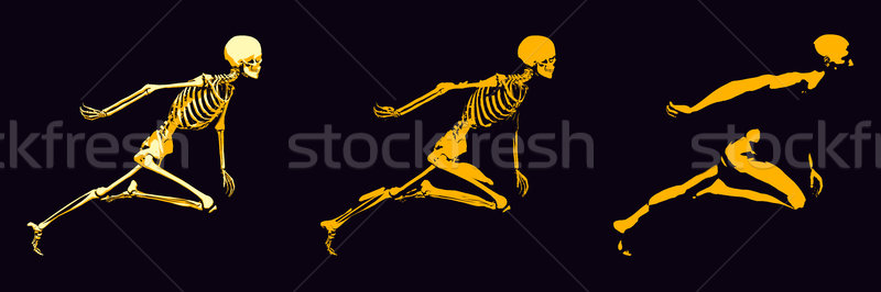 Transparent Human with Bone Structure Stock photo © kentoh