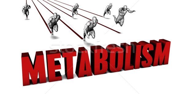 Better Metabolism Stock photo © kentoh