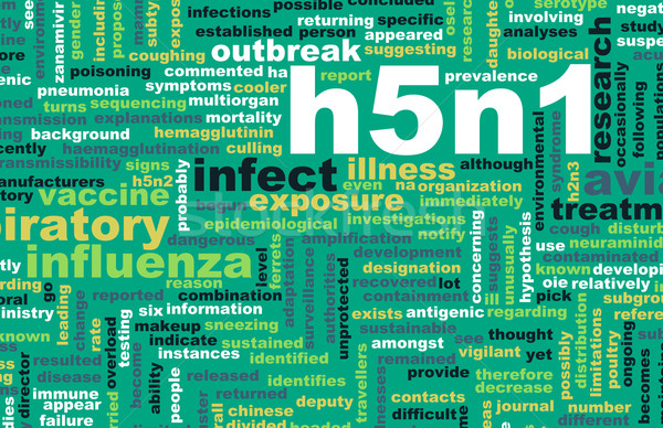 H5N1 Stock photo © kentoh