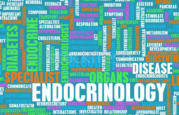 Endocrinology Stock photo © kentoh