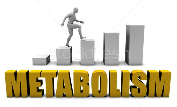 метаболизм рост бизнеса процесс корпоративного золото Сток-фото © kentoh