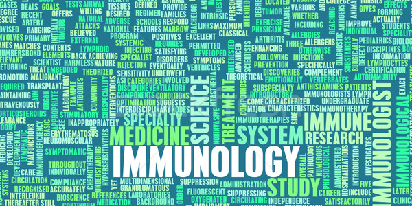 Immunology Stock photo © kentoh