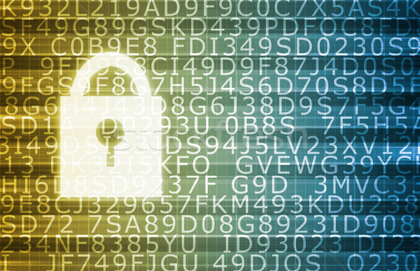 Biztonságos adat titkosítás védelmez sebezhető információ Stock fotó © kentoh