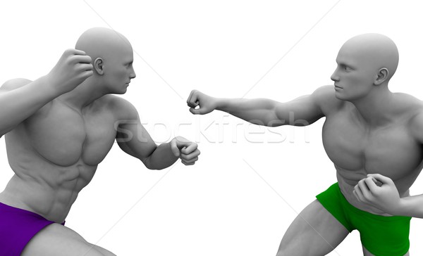 Kampfkünste kämpfen Schutz Körper Straße Stil Stock foto © kentoh
