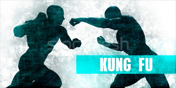 Kung fu Stock photo © kentoh