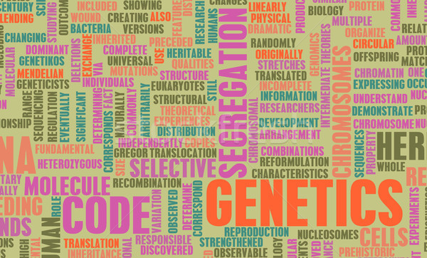 Genetics Stock photo © kentoh