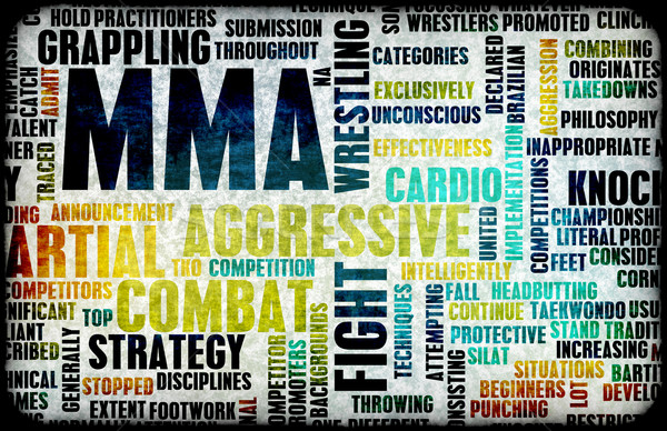 Stock photo: Mixed Martial Arts or MMA