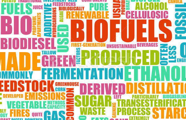 Bioüzemanyag tiszta energia természet technológia olaj erő Stock fotó © kentoh
