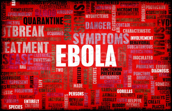 Ebola Stock photo © kentoh