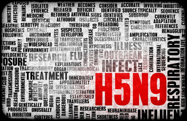 H5N9 Stock photo © kentoh