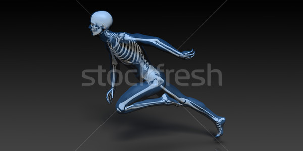 Medical Illustration of Human Body and Bones Stock photo © kentoh
