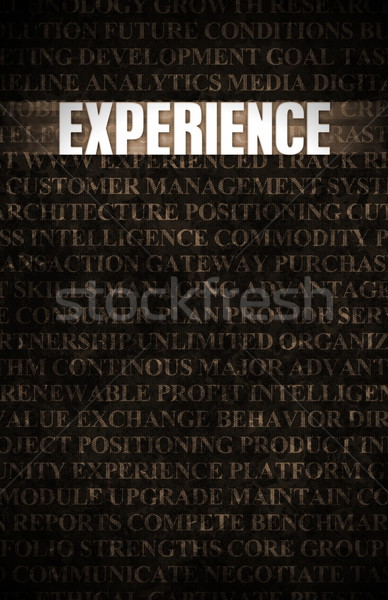 Experiencia negocios motivación muro de piedra pared fondo Foto stock © kentoh