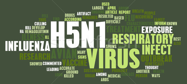 H5N1 Stock photo © kentoh