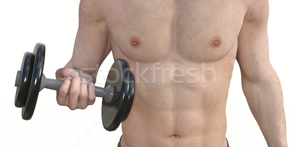 Man Muscle Training Stock photo © kentoh