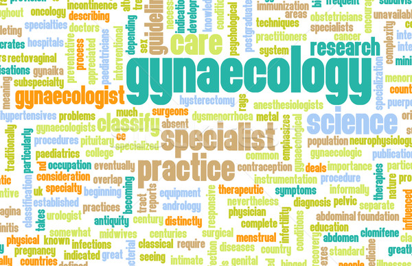 Gynaecologie ziekenhuis onderwijs studie professionele ondersteuning Stockfoto © kentoh
