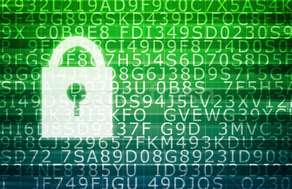 Biztonságos adat titkosítás védelmez sebezhető információ Stock fotó © kentoh