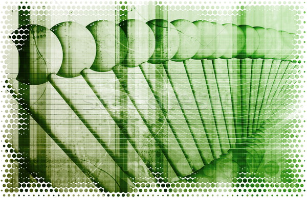 Business Genetics Stock photo © kentoh