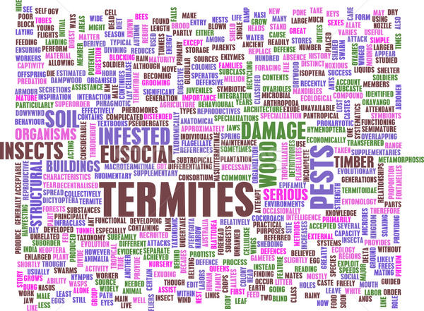 Termites Stock photo © kentoh