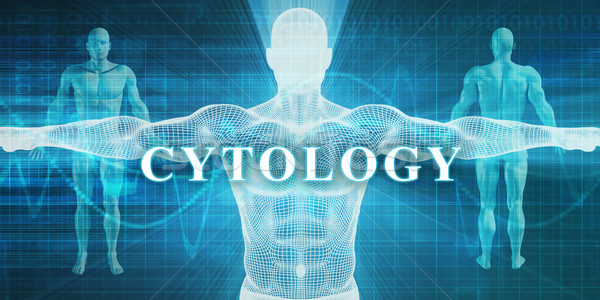 Cytology Stock photo © kentoh