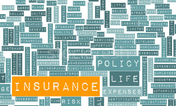 Life Insurance Stock photo © kentoh